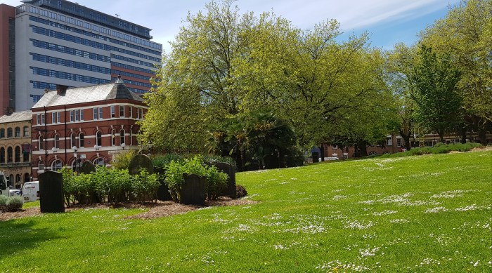 The beauty of Birmingham City